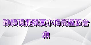 孙美琪疑案夏小梅完整版合集