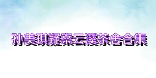 孙美琪疑案云溪茶舍合集