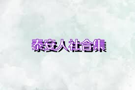 泰安人社合集
