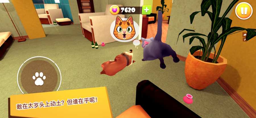 猫咪模拟器3D游戏1