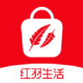 红羽生活app