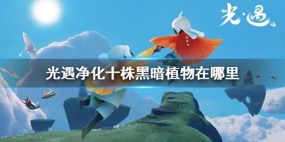 sky光遇净化十株黑暗植物任务完成方法分享
