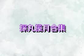 探丸揽月合集