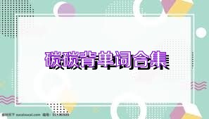 碳碳背单词合集