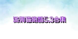 汤姆猫跑酷5.3合集