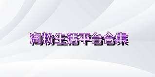 淘粉生活平台合集