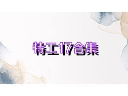 特工17合集