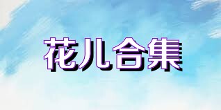 花儿合集