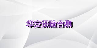 华安保险合集