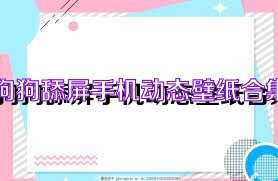 狗狗舔屏手机动态壁纸合集
