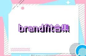 brandfit合集