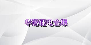 华诺锂电合集