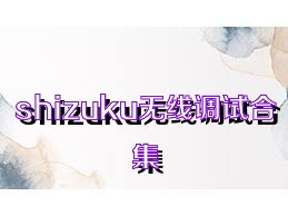 shizuku无线调试合集