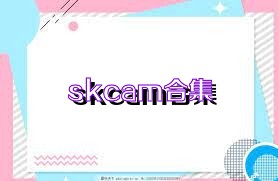 skcam合集