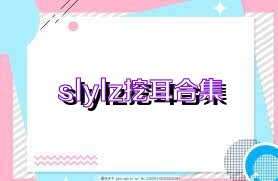 slylz挖耳合集