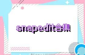 snapedit合集