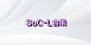 SoC-L合集