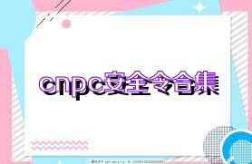 cnpc安全令合集