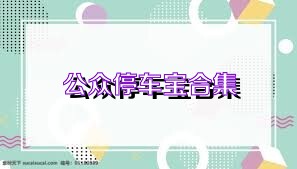 公众停车宝合集