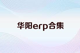 华阳erp合集