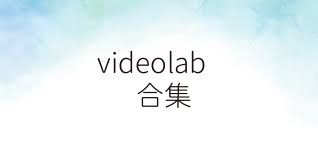 videolab合集