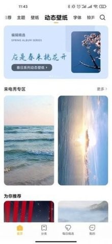 个性主题app1