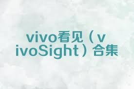 vivo看见（vivoSight）合集