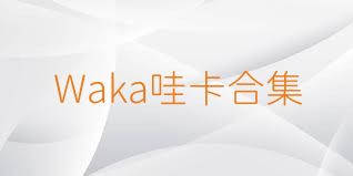 Waka哇卡合集