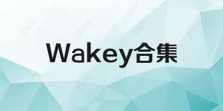 Wakey合集