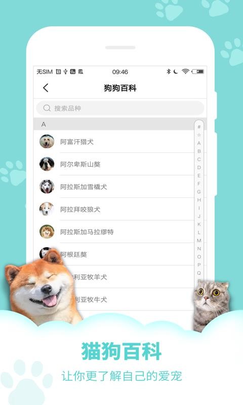 人狗人猫交流器0