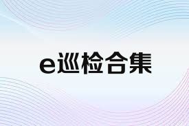 e巡检合集