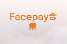 Facepay合集