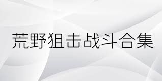 荒野狙击战斗合集