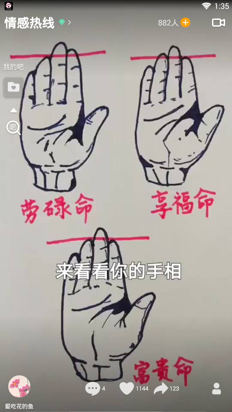 V8实拍官方版0
