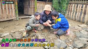 智慧沙县合集
