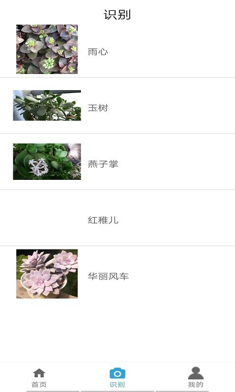 植物图鉴安卓版2