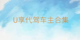 U享代驾车主合集