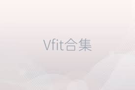 Vfit合集