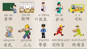 职业课合集