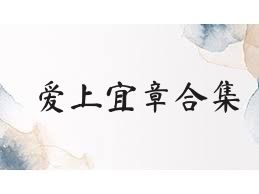 爱上宜章合集