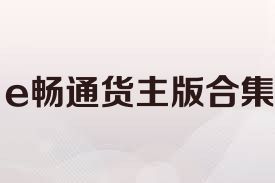 e畅通货主版合集