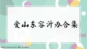 爱山东容沂办合集