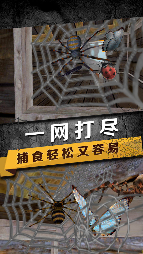 蜘蛛模拟生存手机版1