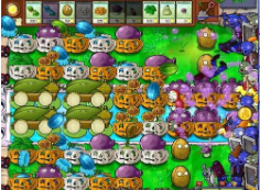植物大战僵尸B版中文版2