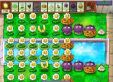 植物大战僵尸B版中文版3