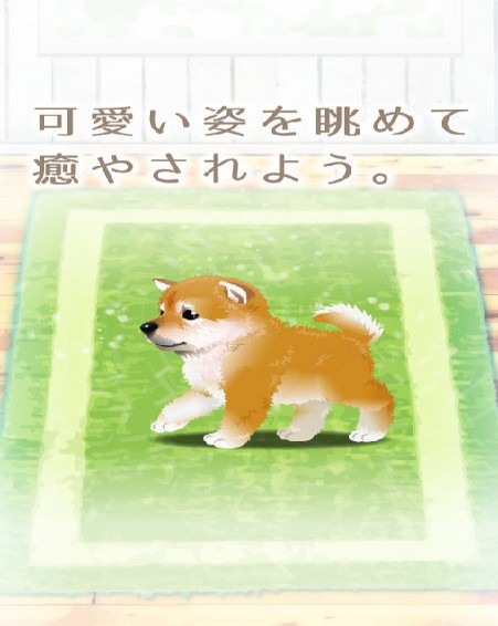 治愈系柴犬育成安卓版2