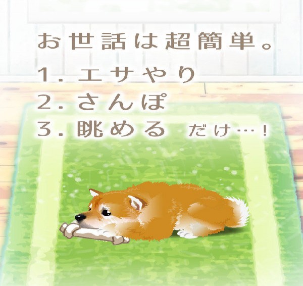 治愈系柴犬育成安卓版4