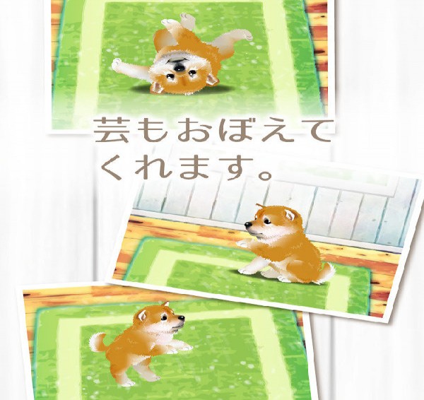 治愈系柴犬育成安卓版5