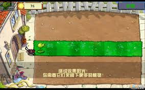 植物大战僵尸wpHD合集