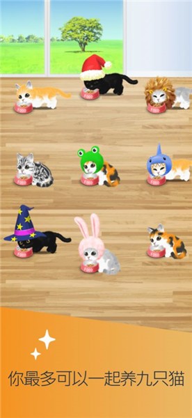 治愈的猫育成安卓版1